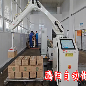 箱裝碼垛機器人：企業效率提高的新引擎